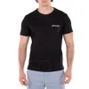 Fendi Embroidered Logo Crew Neck T-shirt