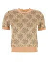 Fendi Embroidered Floral Pattern Viscose Sweater In Brown
