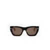 Fendi Roma Acetate Rectangle Sunglasses