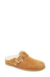 Fendi Feel Suede Shearling Buckle Mules In Caramel
