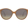 Fendi Fine 59mm Cat Eye Sunglasses In Amber