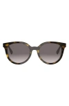 Fendi Forever  55mm Gradient Phantos Sunglasses In Brown