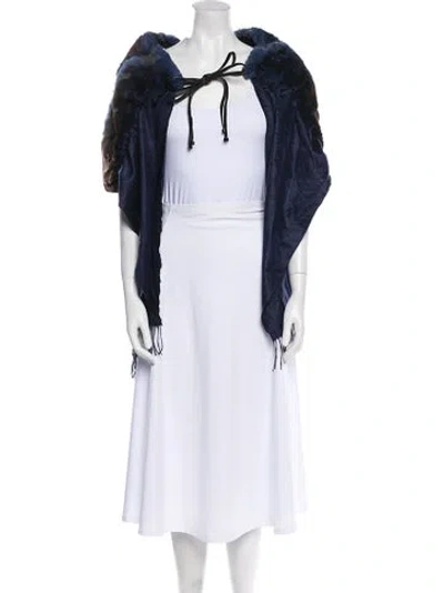 Pre-owned Fendi Fur Printed Shawl In Blue