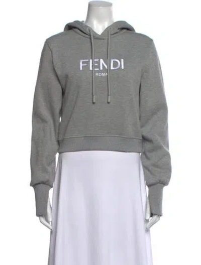 Pre-owned Fendi Graphic Print Crew Neck Hoodie In Grey