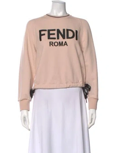 Pre-owned Fendi Graphic Print Crew Neck Sweater In Pink