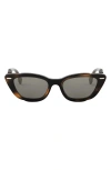 Fendi Interlace Cat Eye Sunglasses In Brown