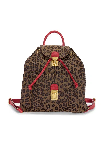 Pre-owned Fendi Leopard Backpack In Brown