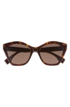 Fendi Lettering 52mm Square Sunglasses In Brown