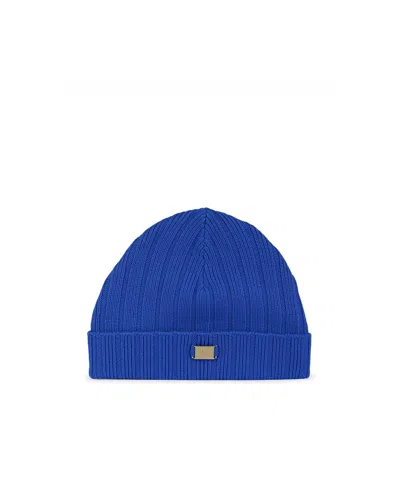 Fendi Logo Plaque Ribbed Beanie In Blue