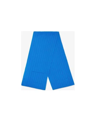 Fendi Logo Plaque Ribbed Scarf In Blue