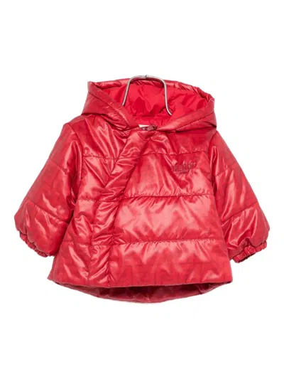 Fendi Babies' Logo-print Hooded Padded Jacket In Red