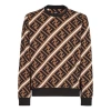 Fendi Mens Hazelnut Sail Graphic-pattern Relaxed-fit Cotton-jersey Sweatshirt S In Multi
