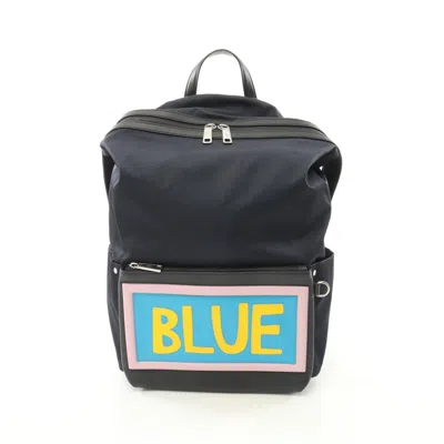 Pre-owned Fendi Multi-color Navy Nylon Leather Backpack ()