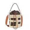 Fendi Step Out Straw Bucket Bag In Brown