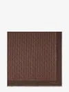 Fendi Women Organic Silk And Wool Shawl In Brown