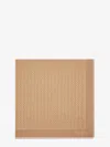 Fendi Women Organic Silk And Wool Shawl In Sand