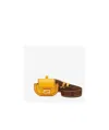 Fendi Pico Baguette Chain Wallet In Orange
