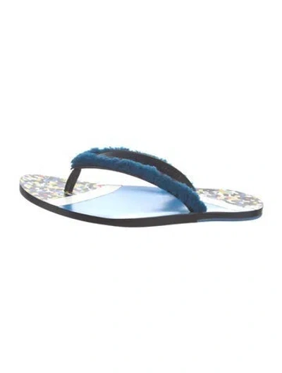 Pre-owned Fendi Printed Flip Flops In Blue