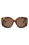 Fendi Roma 62mm Overize Round Sunglasses In Blonde Havana Brown