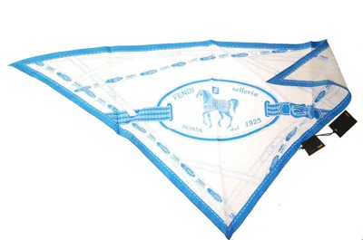 Fendi Scarf Scarves Foulard In Blue