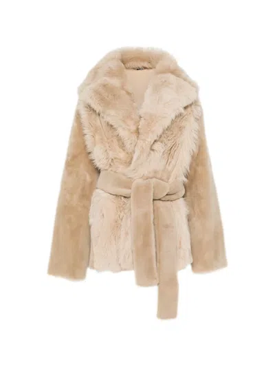 Fendi Shearling Belted Short Coat In Brown