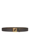 Fendi Belts In Brown