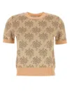 Fendi Embroidered Floral Pattern Viscose Sweater In Brown