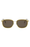 Fendi Travel 55mm Oval Sunglasses In Shiny Yellow/brown