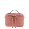 Fendi Pink Vanity Crossbody Bag In Pink