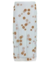 Fendi Sheer Tulle Midi Skirt With Metallic Embroidery