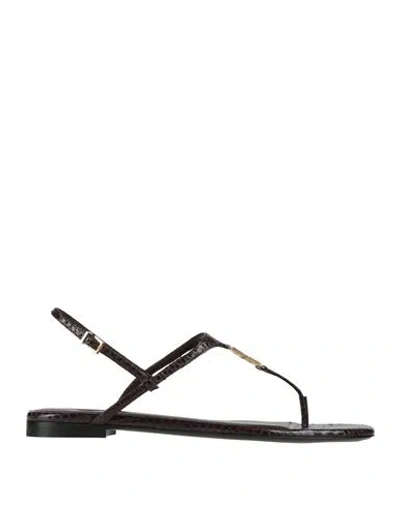 Fendi Woman Thong Sandal Dark Brown Size 8 Leather