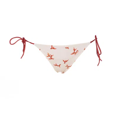 Fendi Women Coral Print Seaslip
