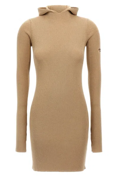 Fendi Women Hooded Dress In Brown
