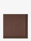 Fendi Women Organic Silk And Wool Shawl In Brown