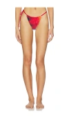 Feners Bikini Bottom In Multi