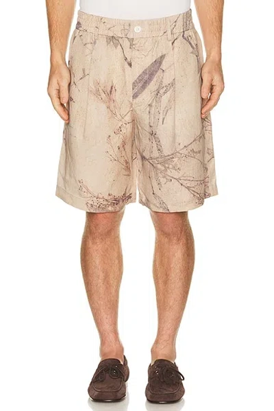 Feng Chen Wang Printed Plant Dye Shorts In Neutral