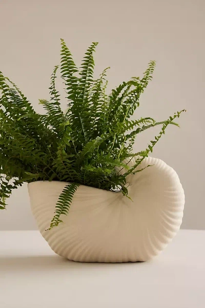 Ferm Living Shell Pot