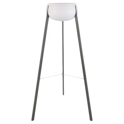 Pre-owned Fermob - Yunos Solar Floor Lamp 180 Cm / 70.9 In - Rosemary In Transparent