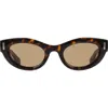 Ferragamo 49mm Small Cat Eye Sunglasses In Brown