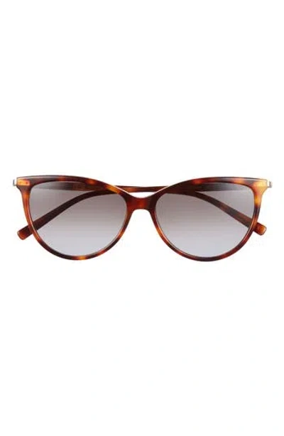 Ferragamo 55mm Cat Eye Sunglasses In Brown