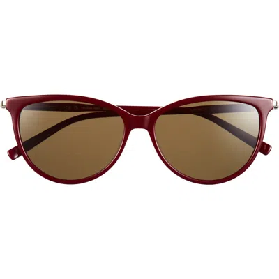 Ferragamo 55mm Cat Eye Sunglasses In Brown