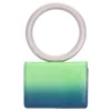 Ferragamo Airbrushed Micro Pouch In Green