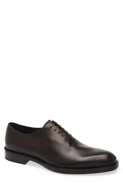 Ferragamo Amber Wholecut Oxford In Brown