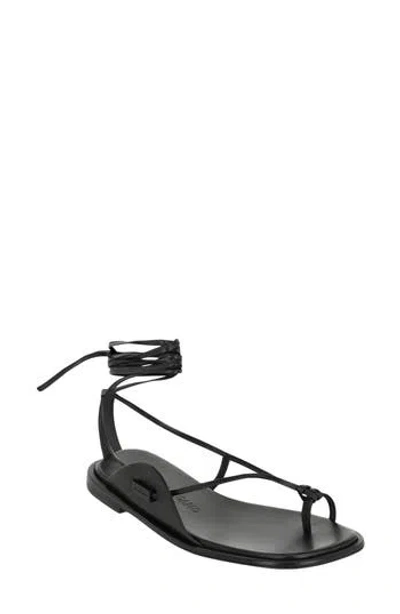 Ferragamo Ankle Tie Sandal In Black