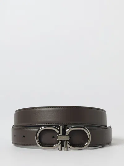 Ferragamo Belt Men  In Brown