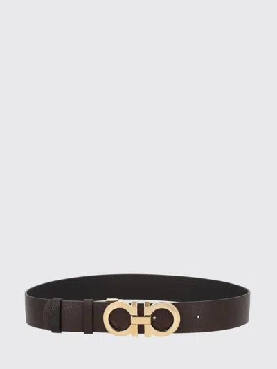 Ferragamo Belt Woman  In Brown