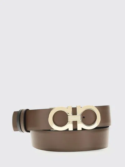Ferragamo Belt Woman  In Brown