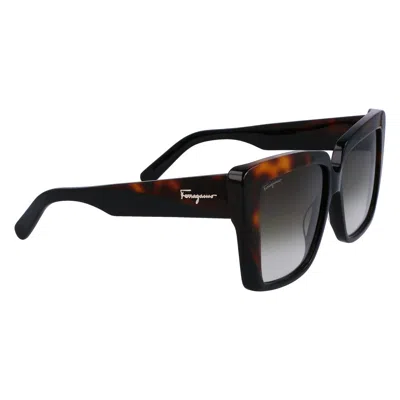 Ferragamo Black Acetate Sunglasses In Brown