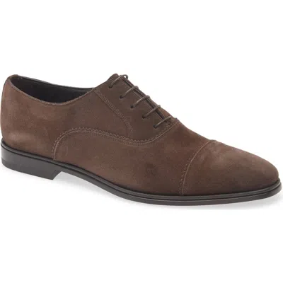 Ferragamo Boston Cap Toe Oxford In Brown