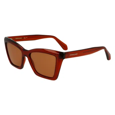 Ferragamo Bronze Cat Eye Ladies Sunglasses Sf2039se 224 53 In Gold